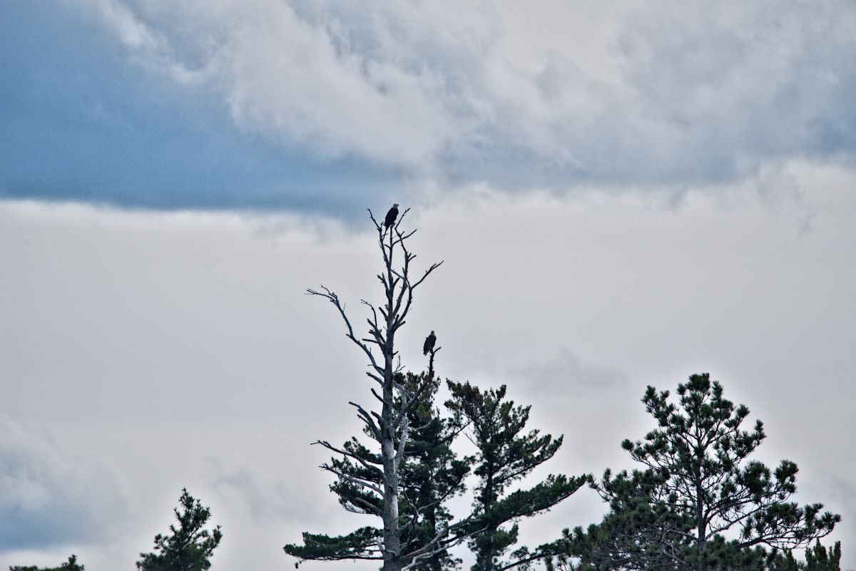 Weather Photos in Rainy Lake. Weather forecasts with beautiful photos by krantzjh