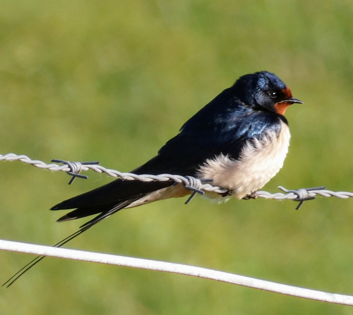 Фотографии Погоды в Dangast. Прогнозы погоды с чудесными фотографиями, сделанными fwerner
