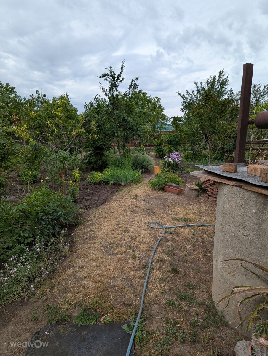 Weather Photos in Hungary. Weather forecasts with beautiful photos by Tektronix