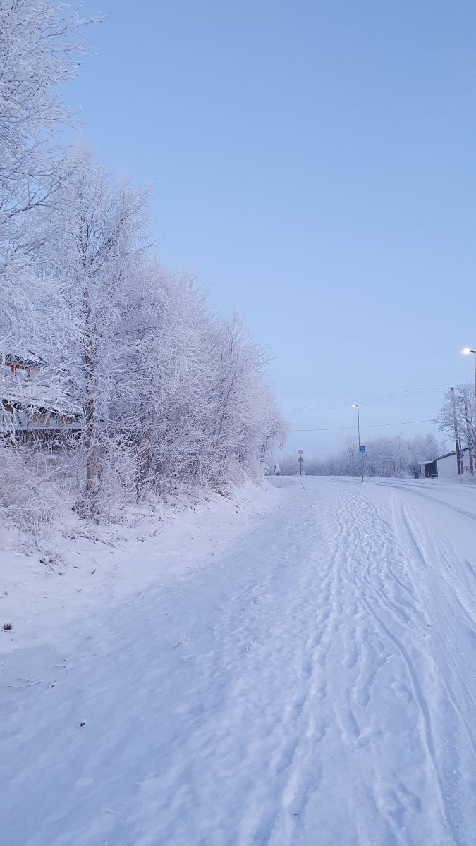 Фотографии Погоды в Киркенес. Прогнозы погоды с чудесными фотографиями, сделанными Femalewind