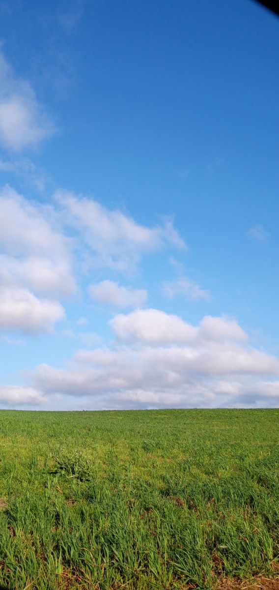 Wetter Photos Vacaria. Wettervorhersagen mit schönen Fotos von ndresilva