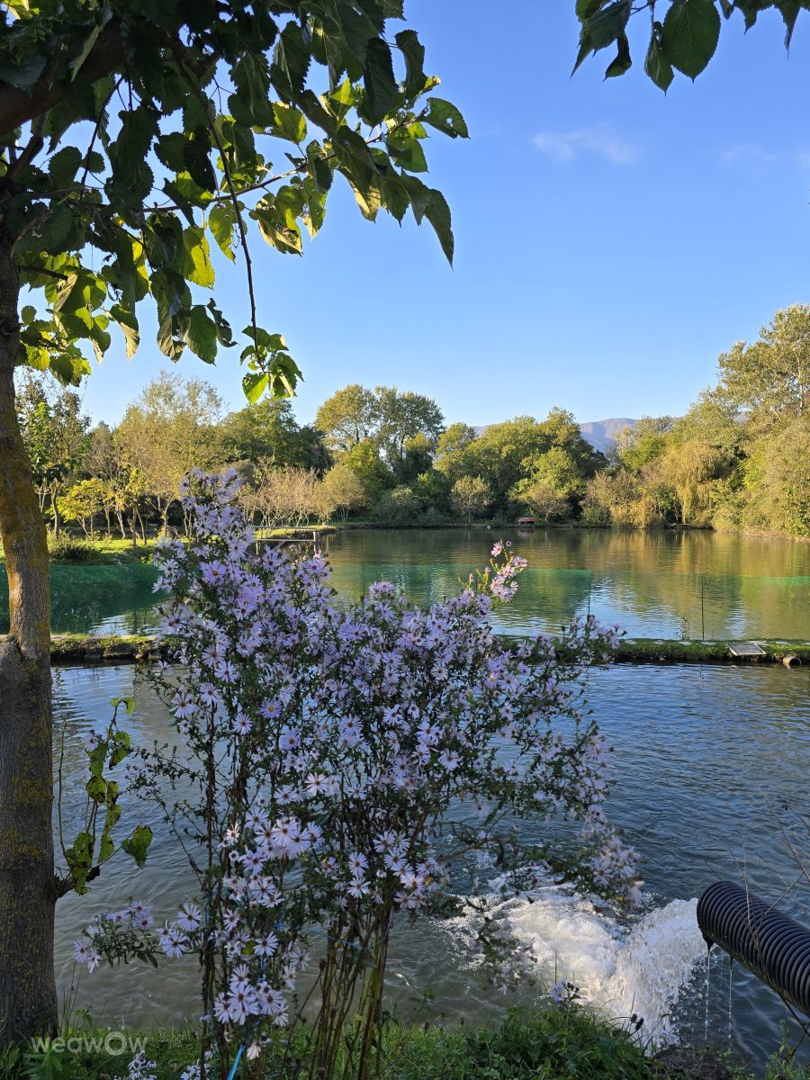 Weather Photos in Azerbaijan. Weather forecasts with beautiful photos by Mila_