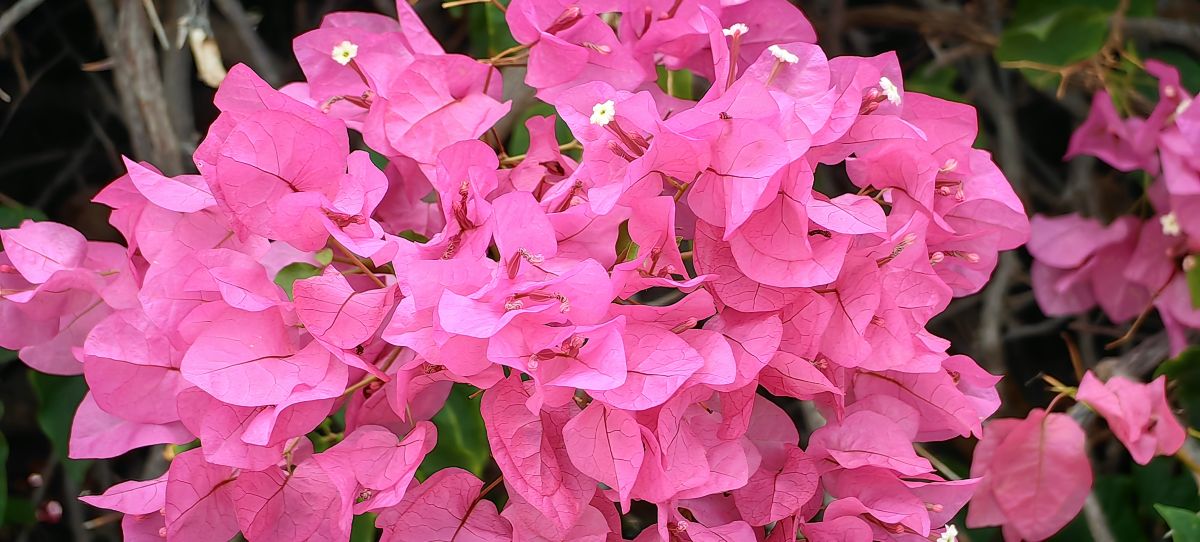 Фотографии Погоды в Кипр. Прогнозы погоды с чудесными фотографиями, сделанными Andro23