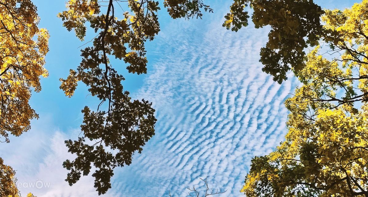 Weather forecasts with beautiful photos by RoDi-zign