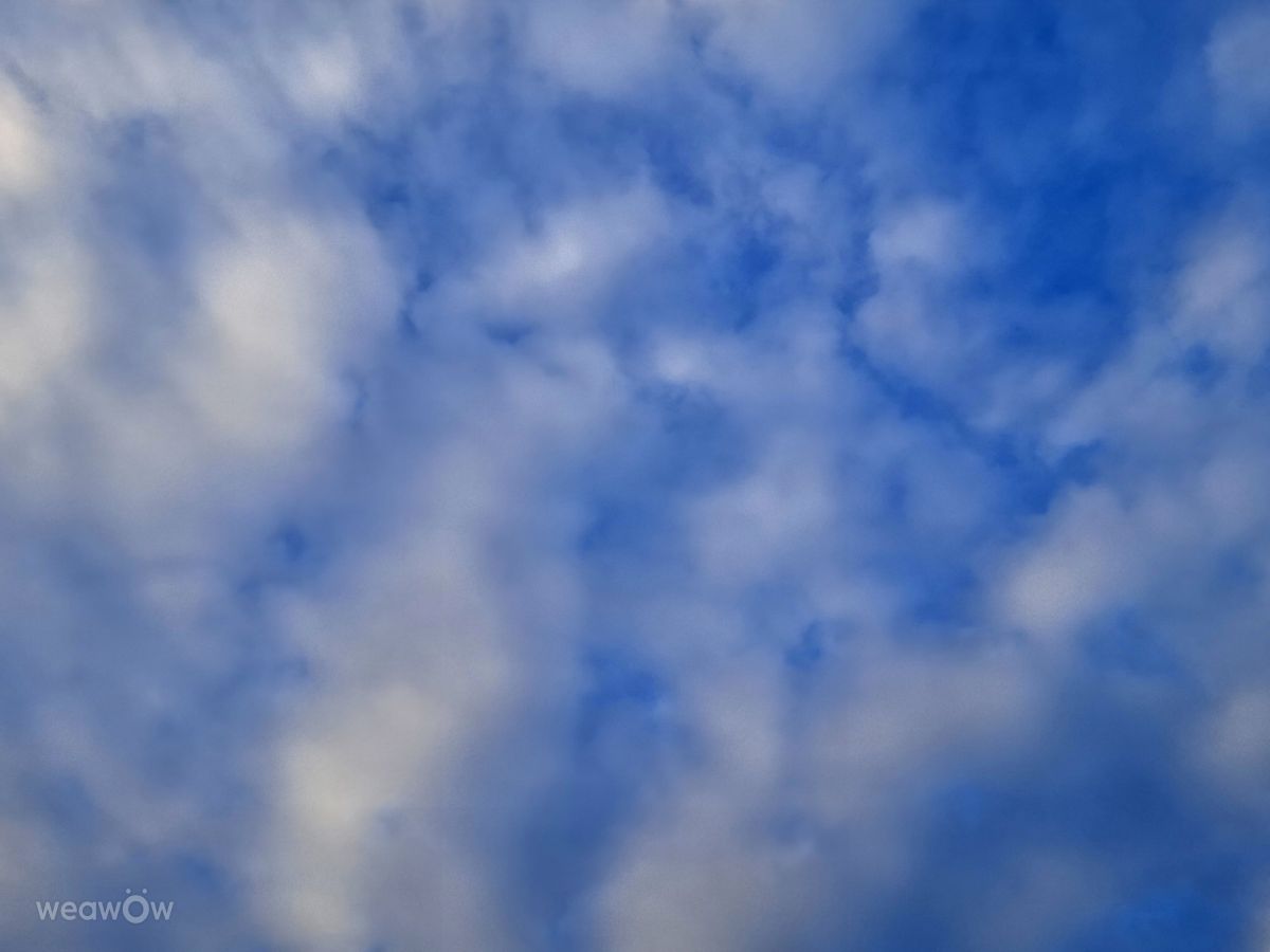 摄影师 Wen-ya Huang，高雄市的天气照片 - Weawow