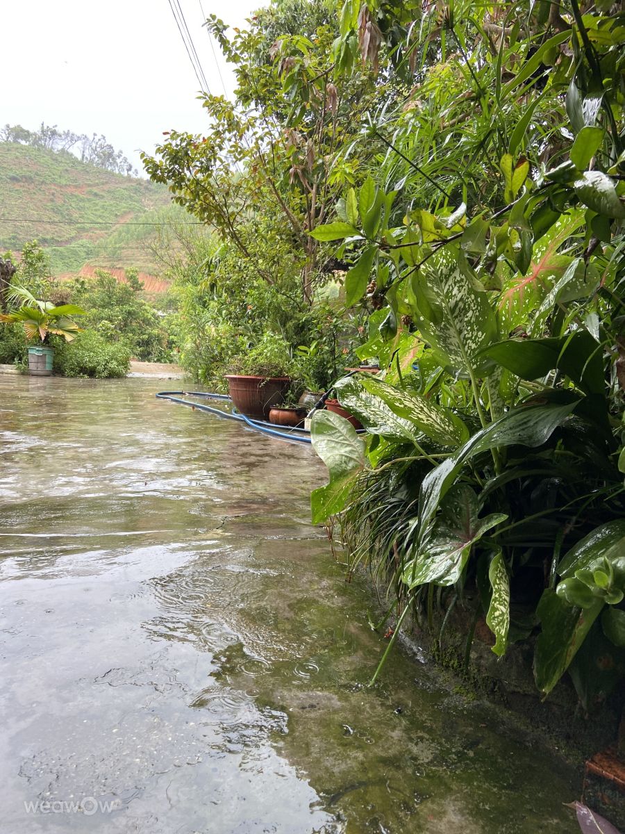 Weather Photos in Vietnam. Weather forecasts with beautiful photos by Hoàng Cường_fb1