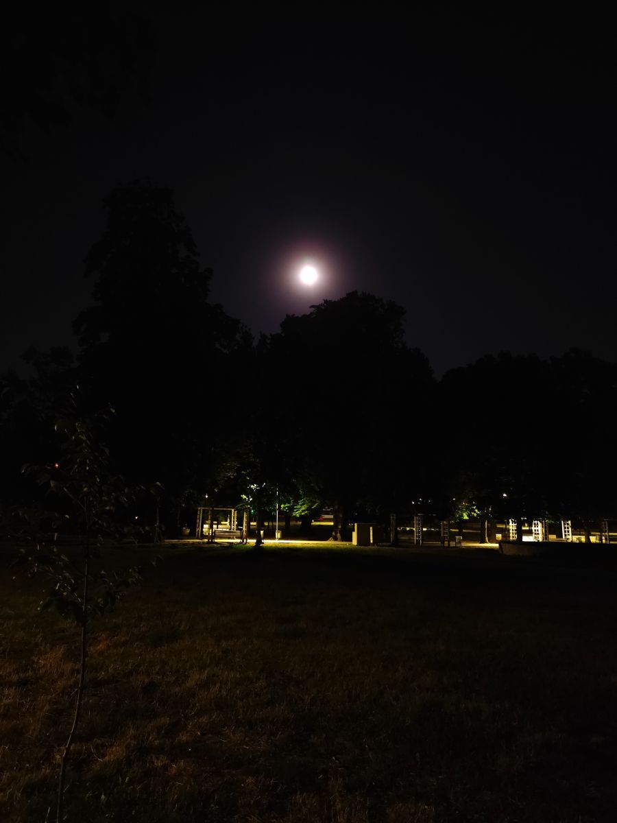 Fotos sobre el clima en Timişoara. Pronósticos del tiempo con hermosas fotos de Lupsaman