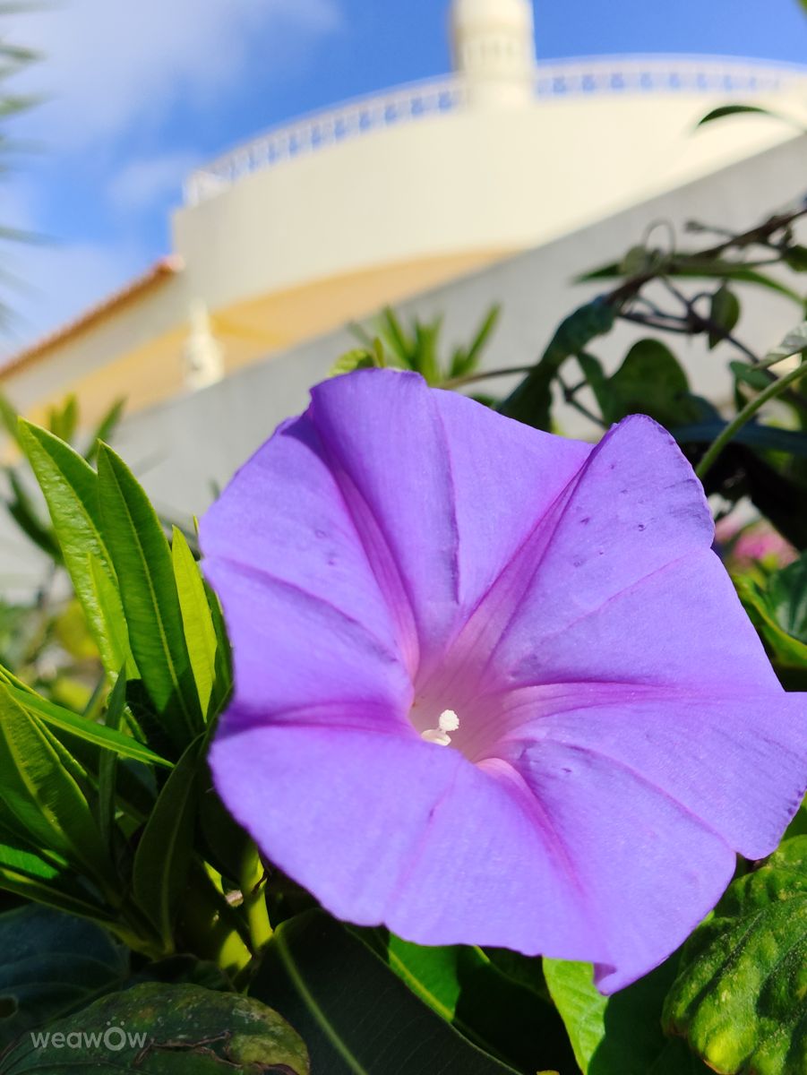 Фотограф Brtd, Фотографии Погоды в Praia do Carvoeiro - Weawow