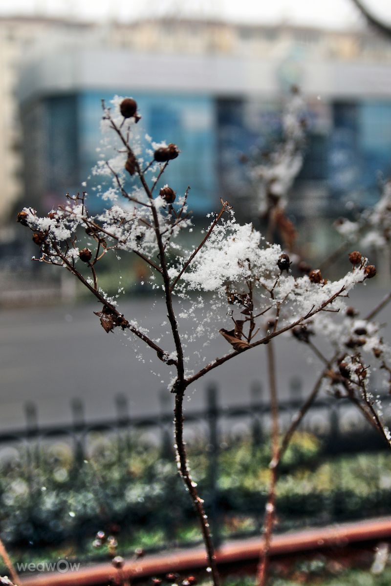 タシュケントの天気写真. A_Varjatの美しい写真による天気予報