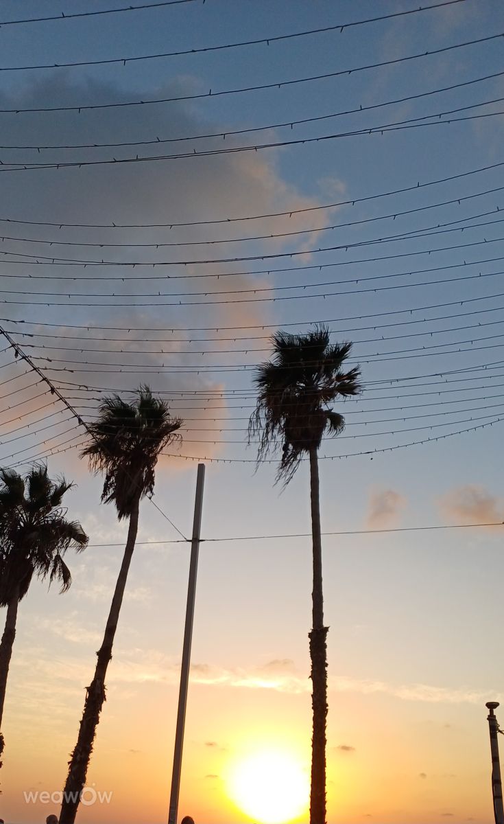 Photos météo à Bat Yam. Prévisions météo avec de superbes photos de Zaza