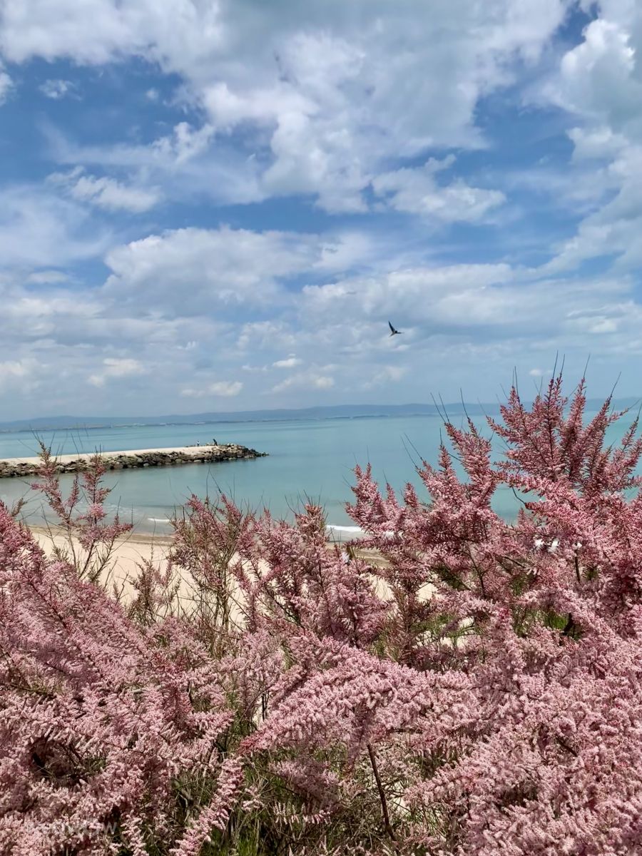 Fotos sobre el clima en Pomorie. Pronósticos del tiempo con hermosas fotos de Bilyana