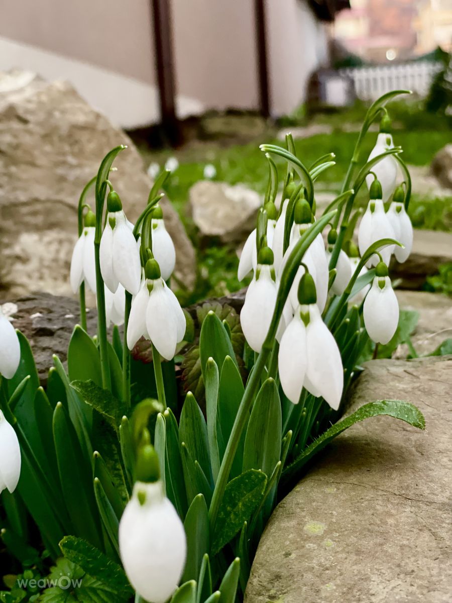 Fotos do tempo em Obzor. Previsões do tempo com lindas fotos de Georgi93