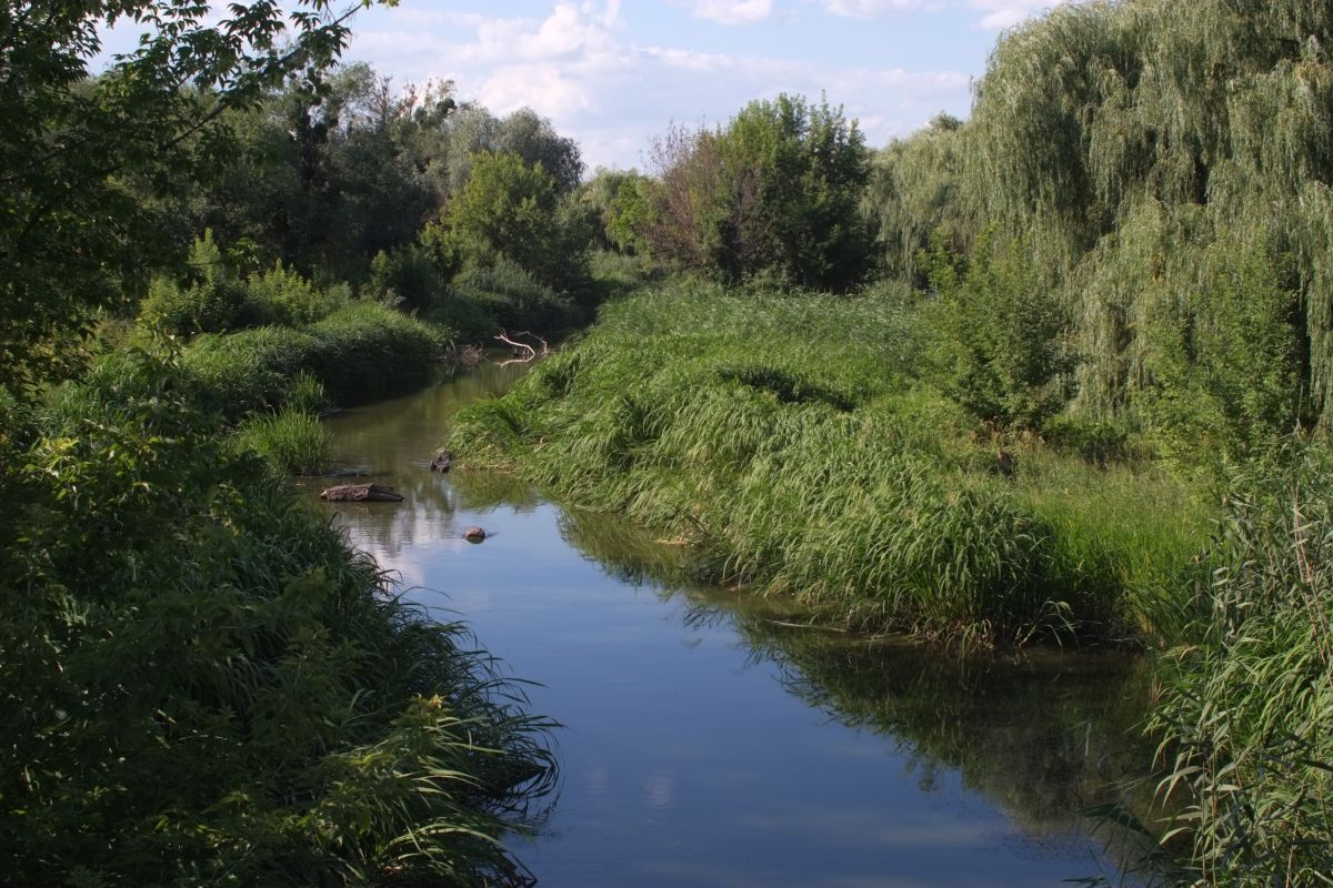 Photos météo à Cherkasy. Prévisions météo avec de superbes photos de Saho76