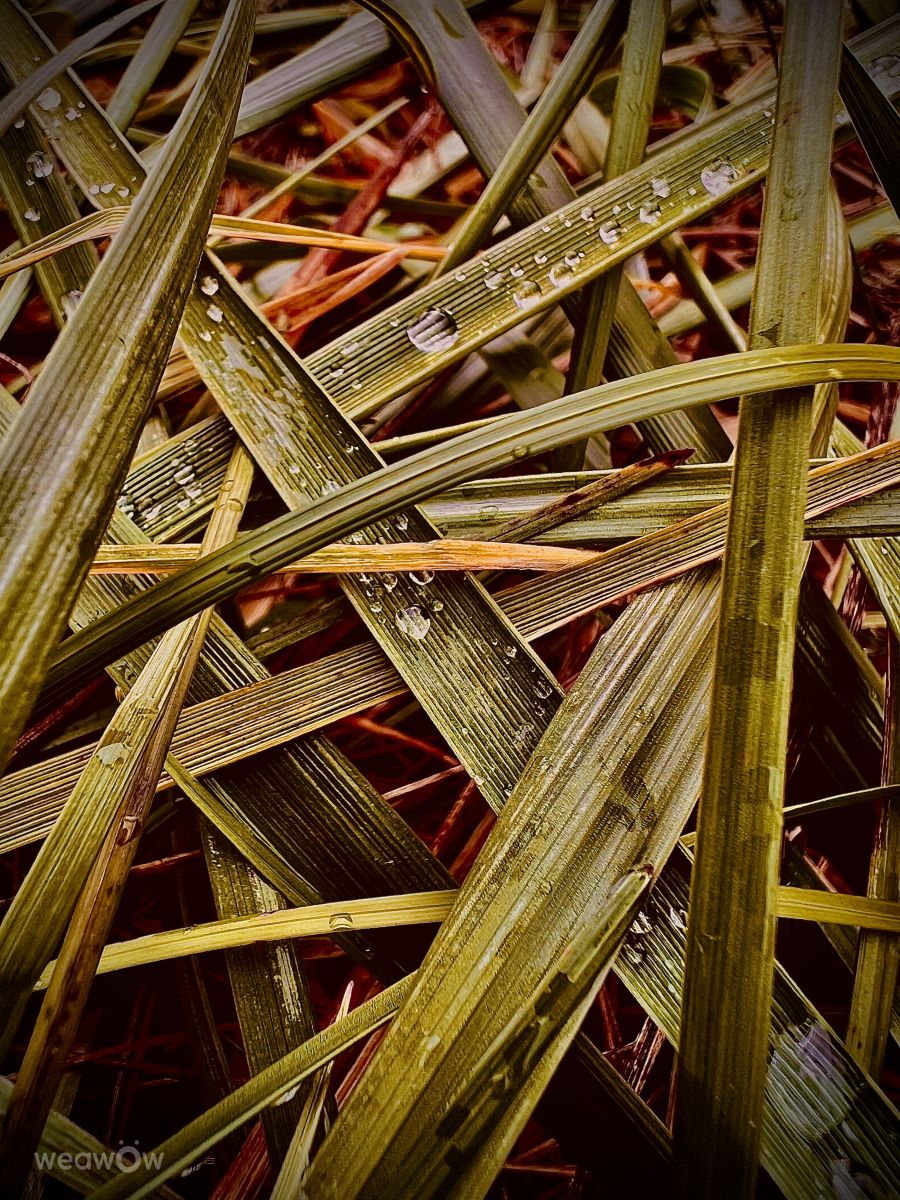 Hình ảnh Thời tiết ở Bulgaria. Dự báo thời tiết với những bức ảnh đẹp của Sev4o