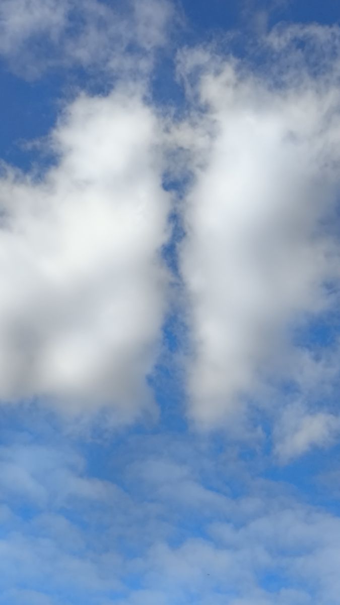 Wetter Photos Oblast Woronesch. Wettervorhersagen mit schönen Fotos von Liski_SB
