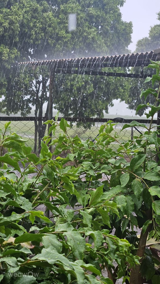 Hình ảnh Thời tiết ở Sao Paulo. Dự báo thời tiết với những bức ảnh đẹp của Fernando Rodrigues Dos Santos