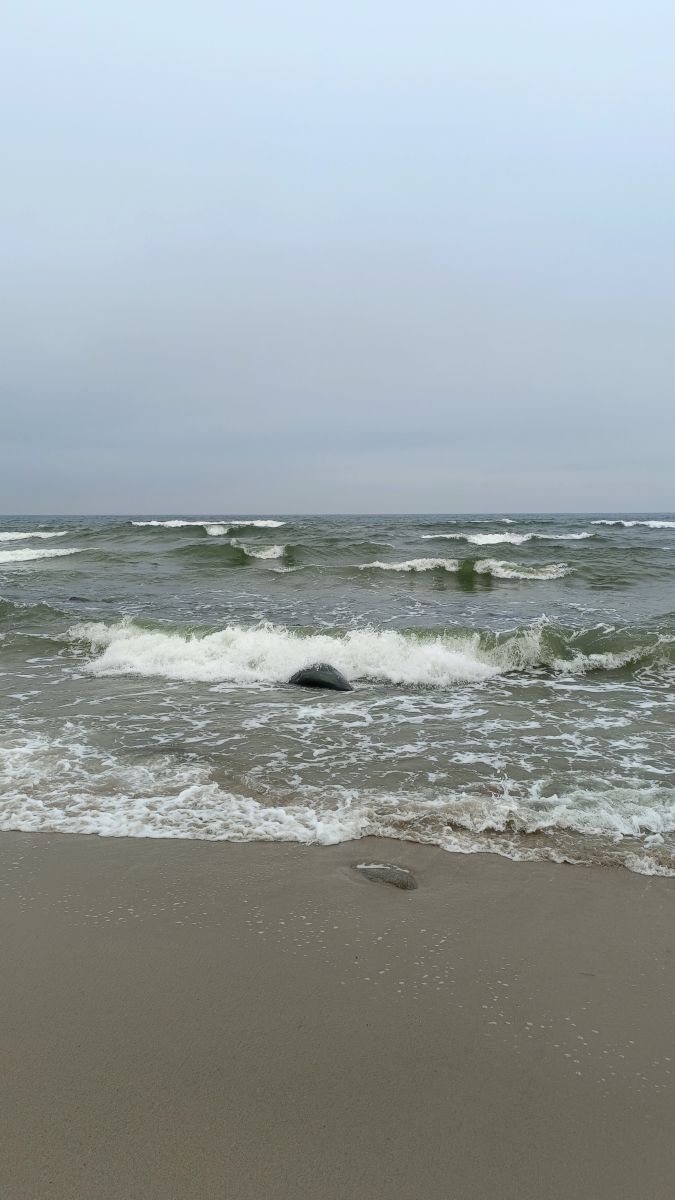 Gorod Svetlogorsk的天气照片. 天气预报，带Михаил Бондаренко精美的照片