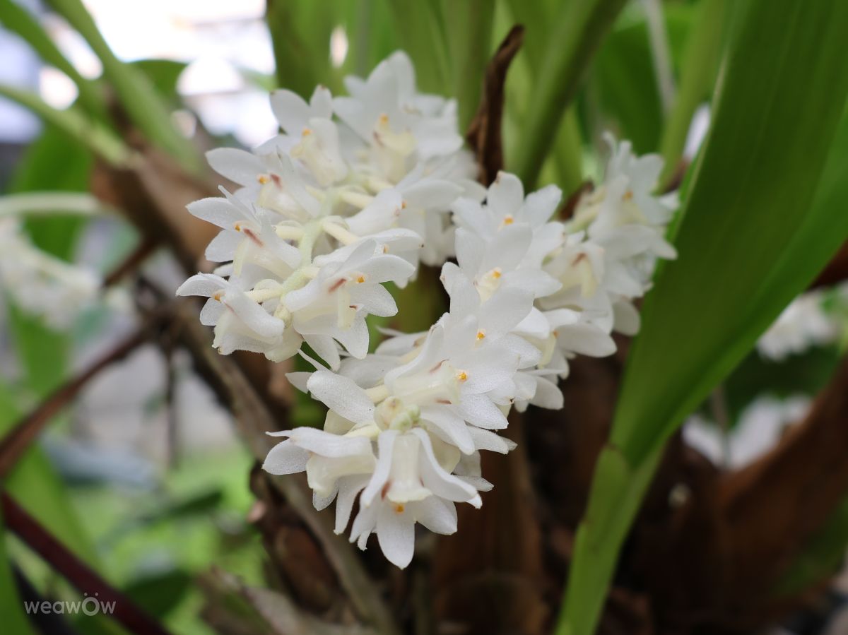 Wetter Photos Florianópolis. Wettervorhersagen mit schönen Fotos von VIAꓨEM_E_HISTÓЯIA