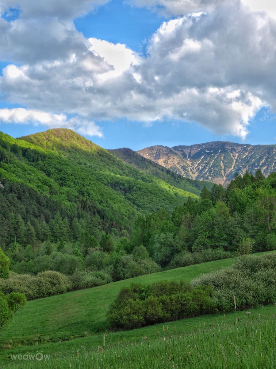 Weather Photos in Slovakia. Weather forecasts with beautiful photos by _richardd