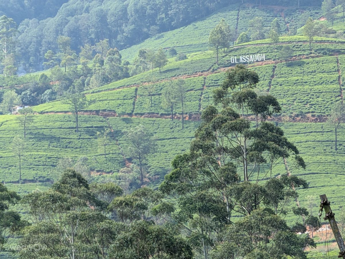 Weather Photos in Sri Lanka. Weather forecasts with beautiful photos by lunatibi