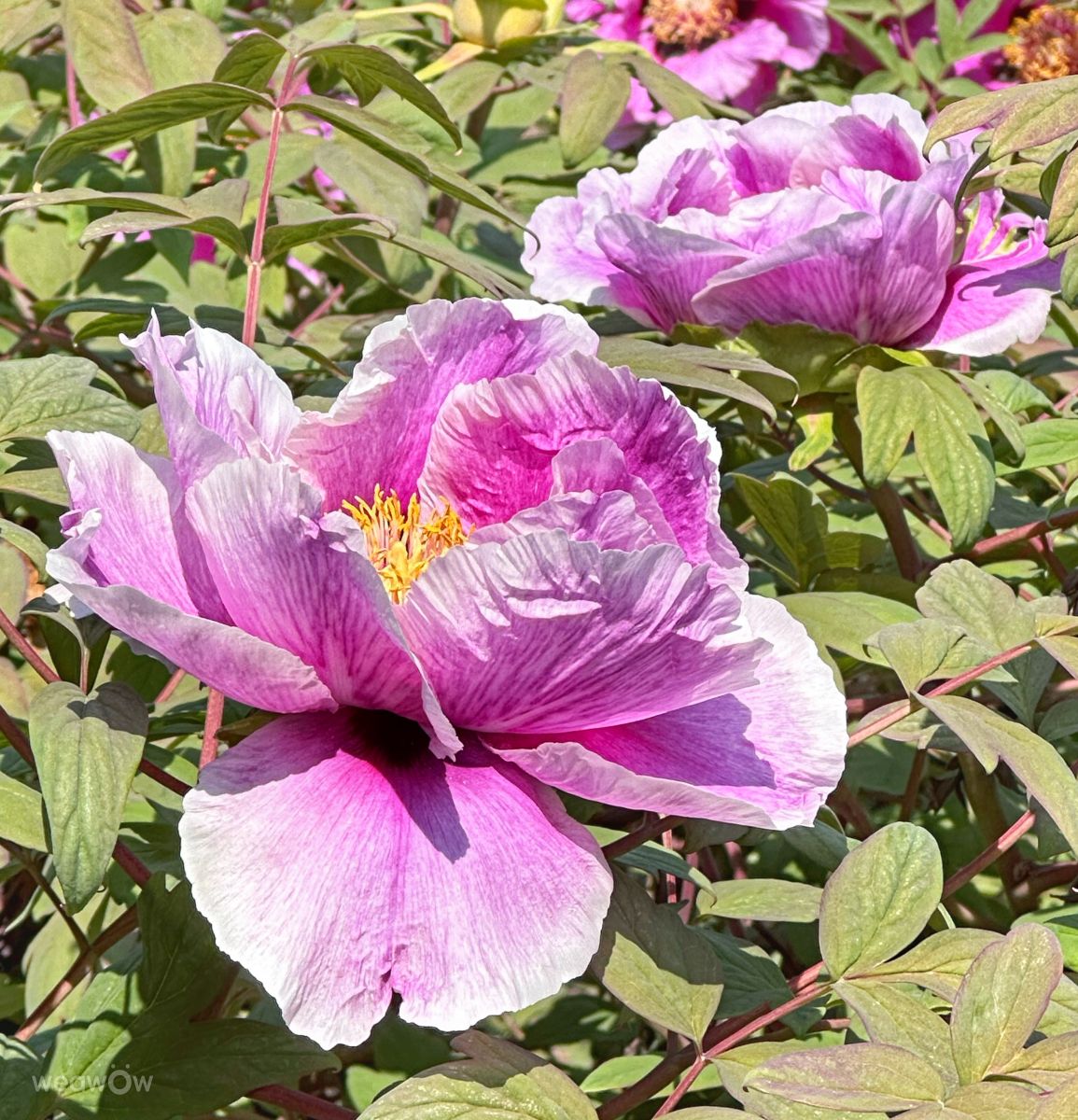 Wetter Photos Irpin. Wettervorhersagen mit schönen Fotos von Інна