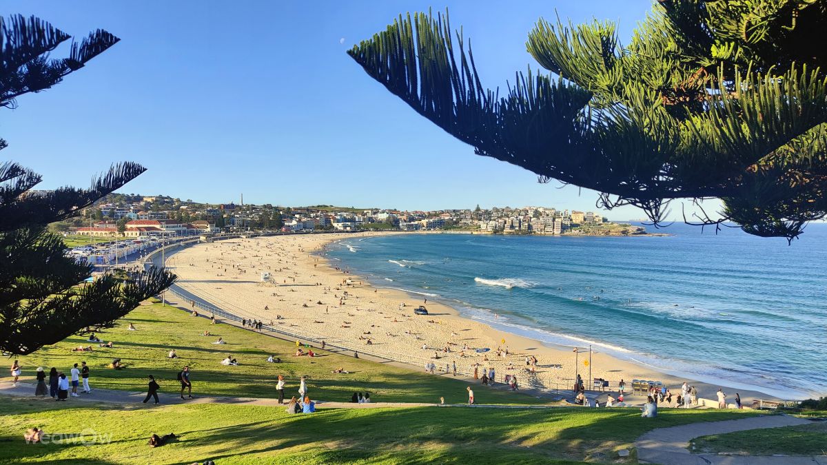 Weather forecasts with beautiful photos by Bernie