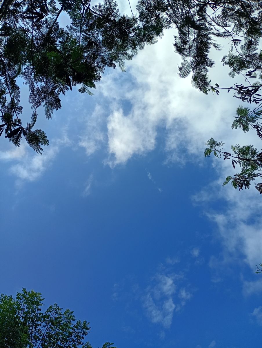 Veracruz的天气照片. 天气预报，带Bluking精美的照片