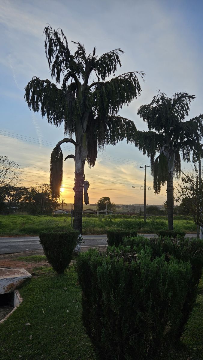 Fotos sobre el clima en São Paulo. Pronósticos del tiempo con hermosas fotos de Fernando Rodrigues Dos Santos