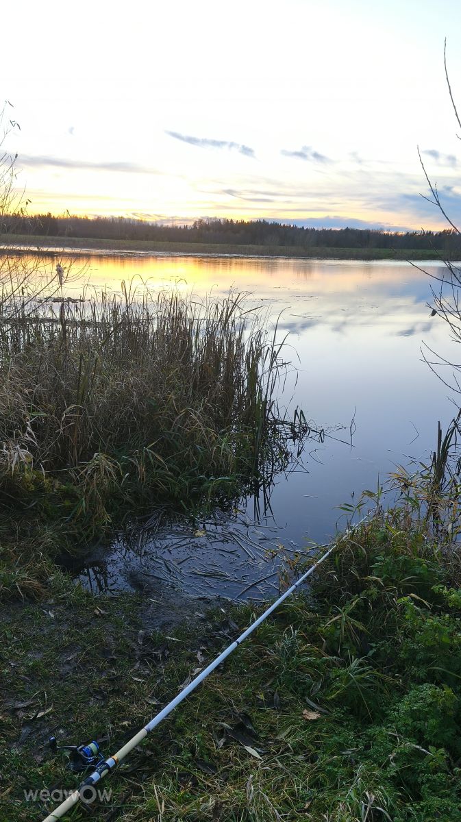 Фотограф Valiukas, Фотографии Погоды в Balėnos - Weawow