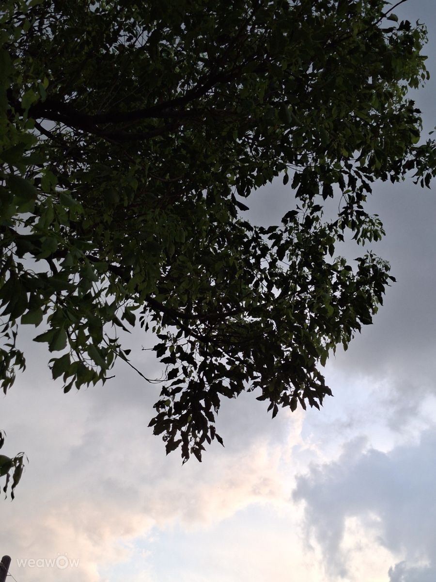 Photographe Wen-ya Huang, Photos météo à Kaohsiung - Weawow