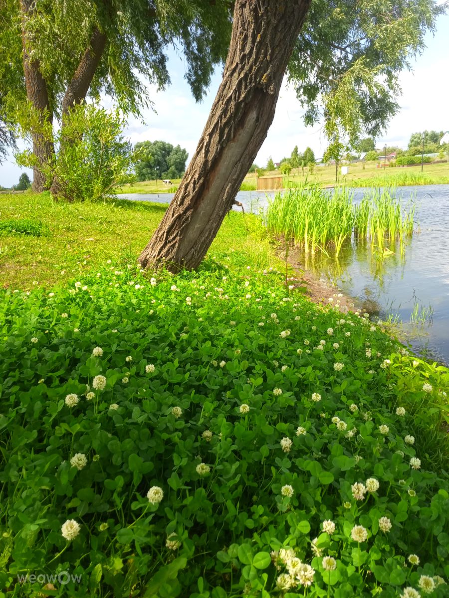 Fotos sobre el clima en Kolomna. Pronósticos del tiempo con hermosas fotos de Evgeniya77
