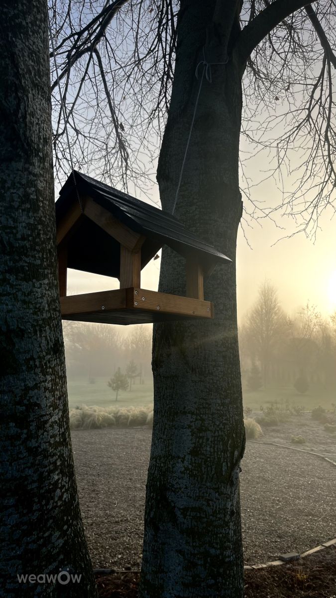 Photograph Stassy, Wetter Photos Teshkovo - Weawow