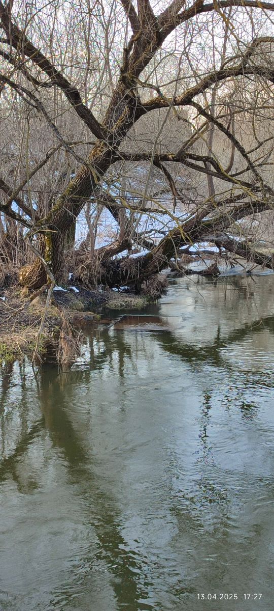 ドモジェドヴォの天気写真. Oleg0007の美しい写真による天気予報