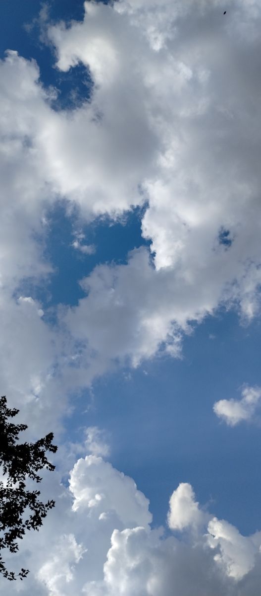 阿肯色州的天气照片. 天气预报，带Ghostsix精美的照片