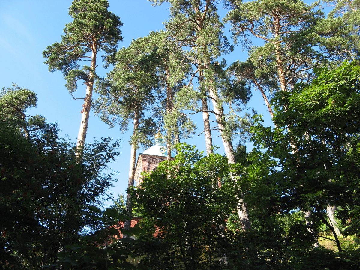 Fotos sobre el clima en Republic of Karelia. Pronósticos del tiempo con hermosas fotos de 19Lora46