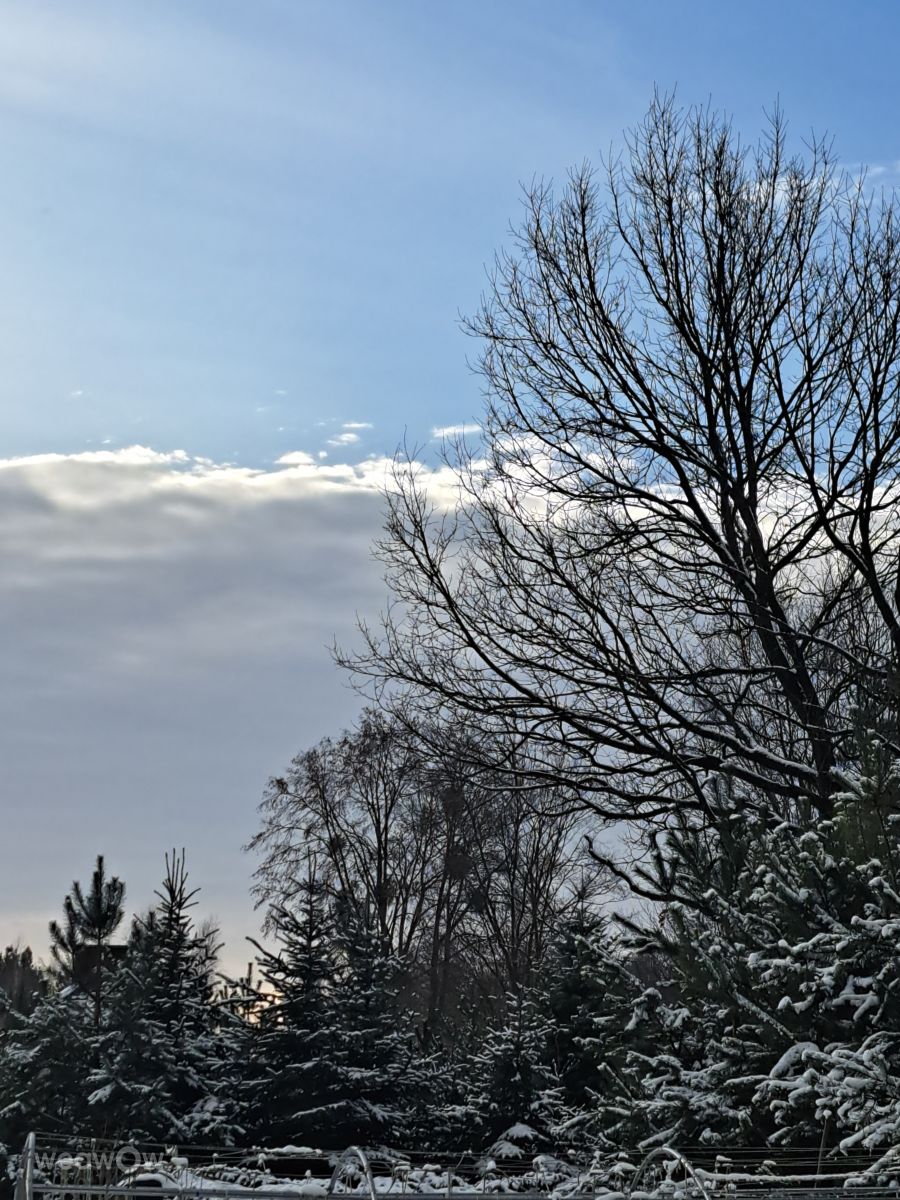 Hình ảnh Thời tiết ở Lublin Voivodeship. Dự báo thời tiết với những bức ảnh đẹp của luna1