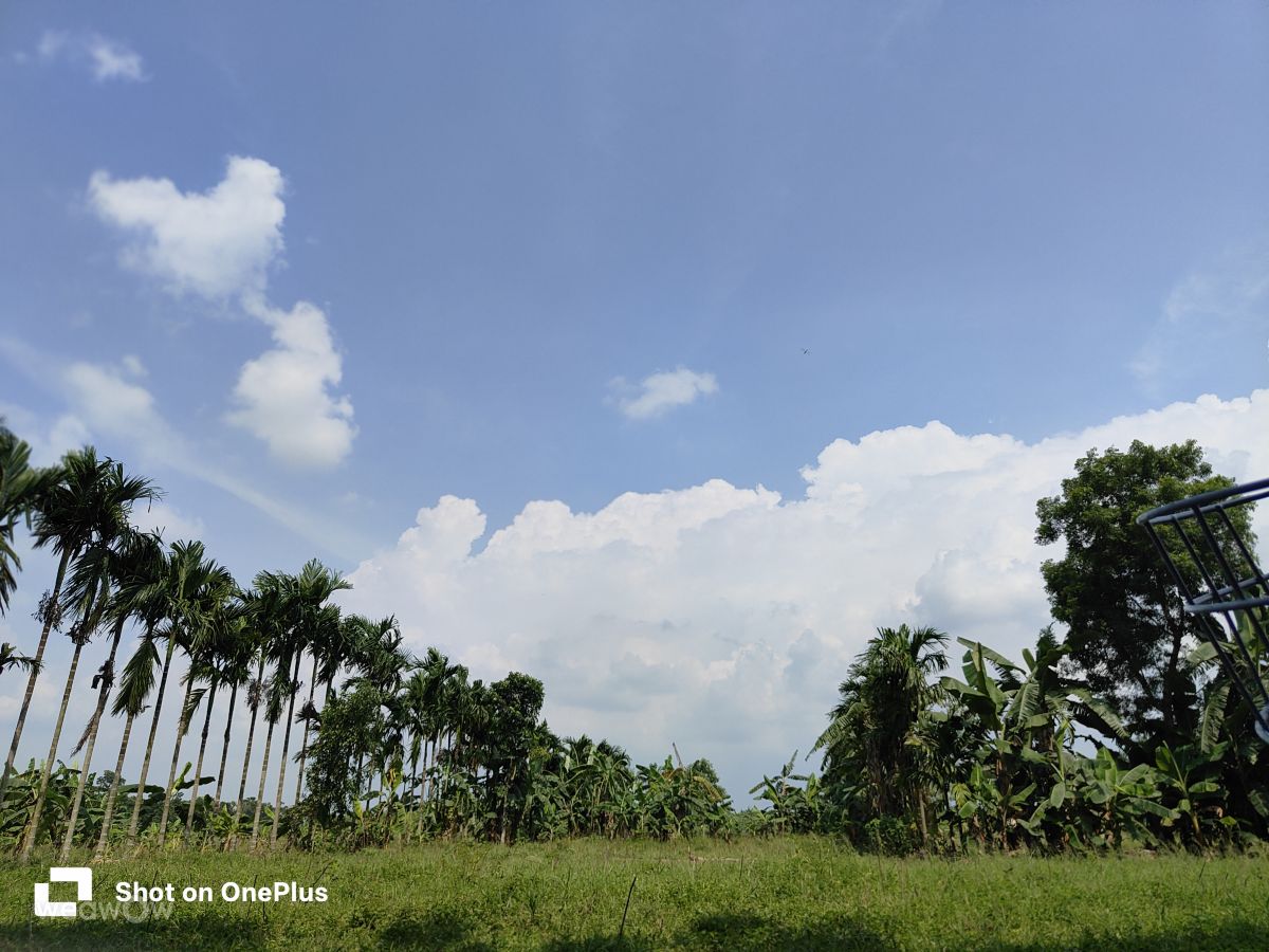 Hình ảnh Thời tiết ở West Bengal. Dự báo thời tiết với những bức ảnh đẹp của Debasish1234