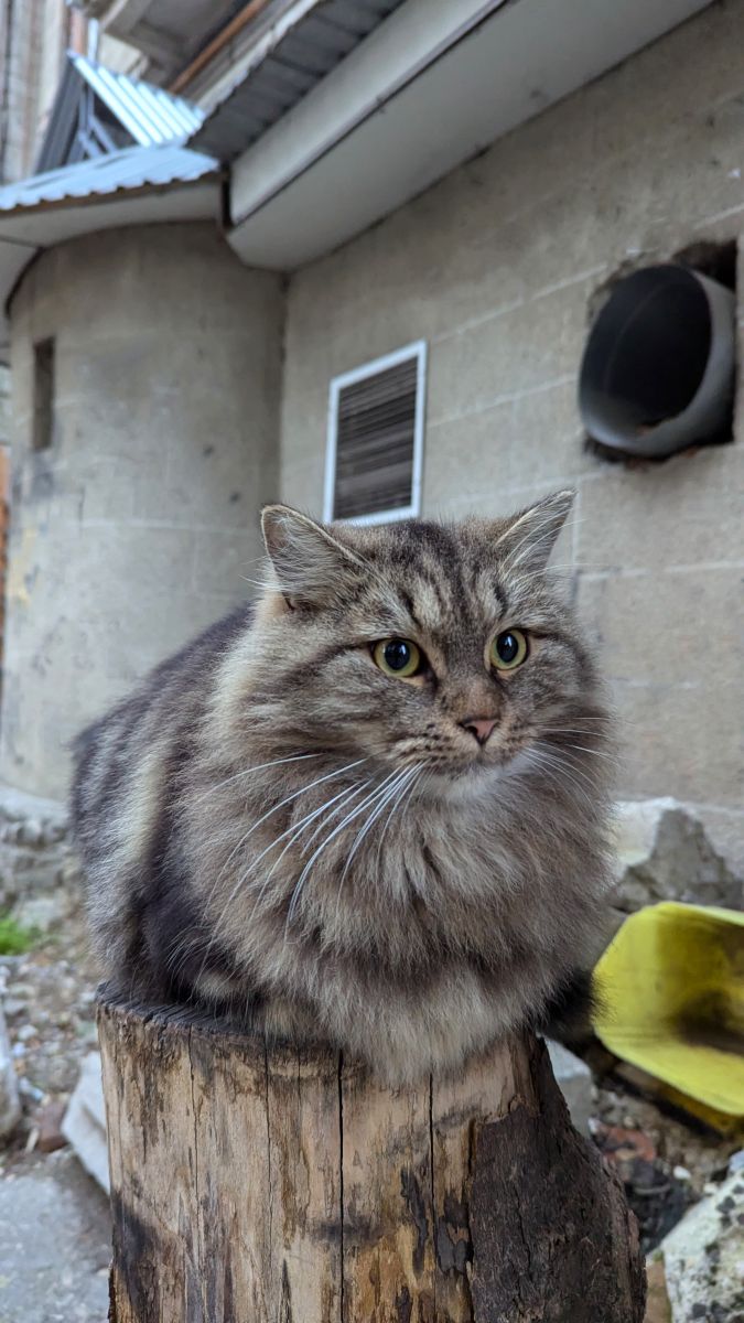 Hình ảnh Thời tiết ở Chișinău. Dự báo thời tiết với những bức ảnh đẹp của Musteata