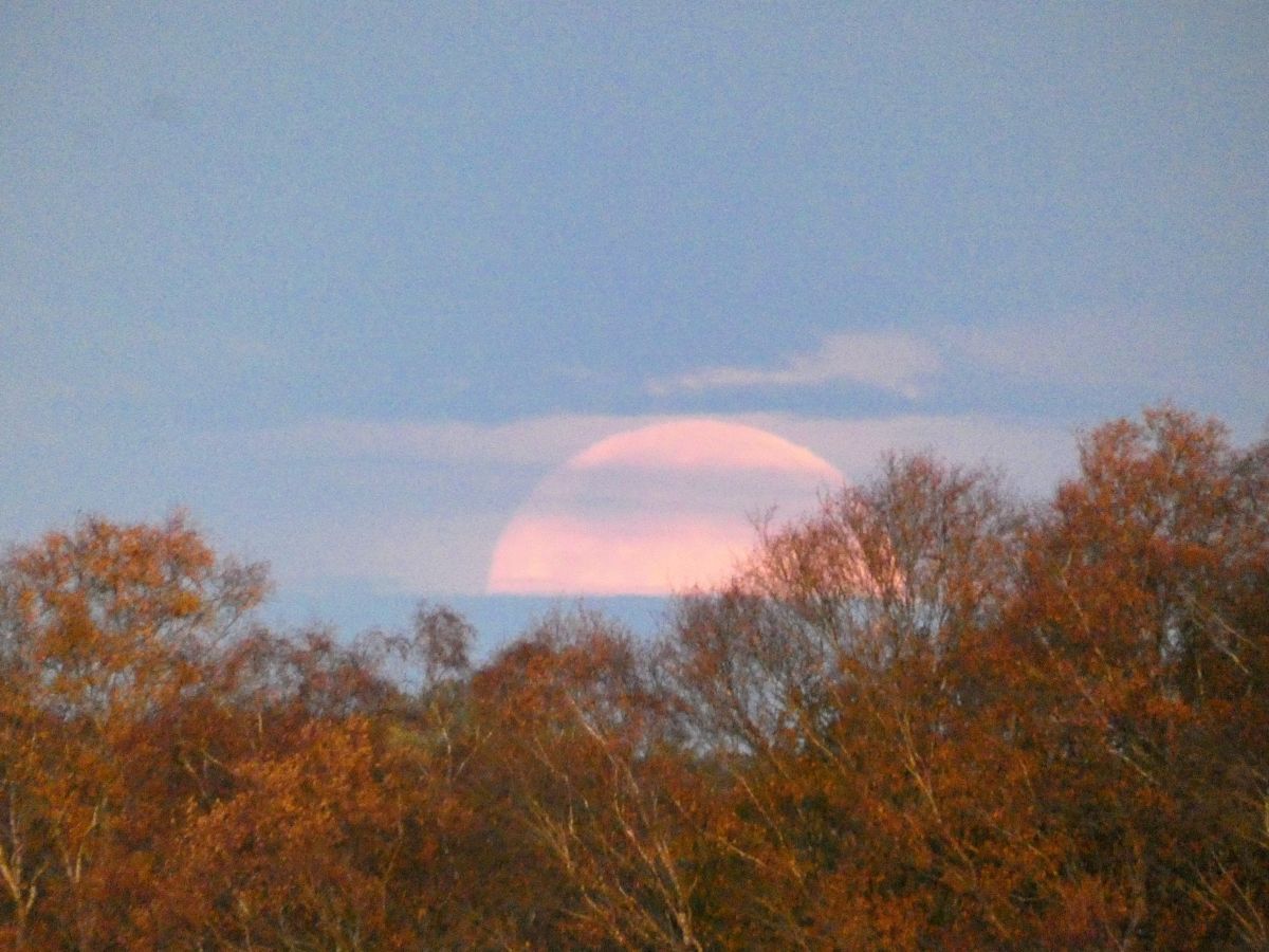 摄影师 fwerner，Elsfleth的天气照片 - Weawow