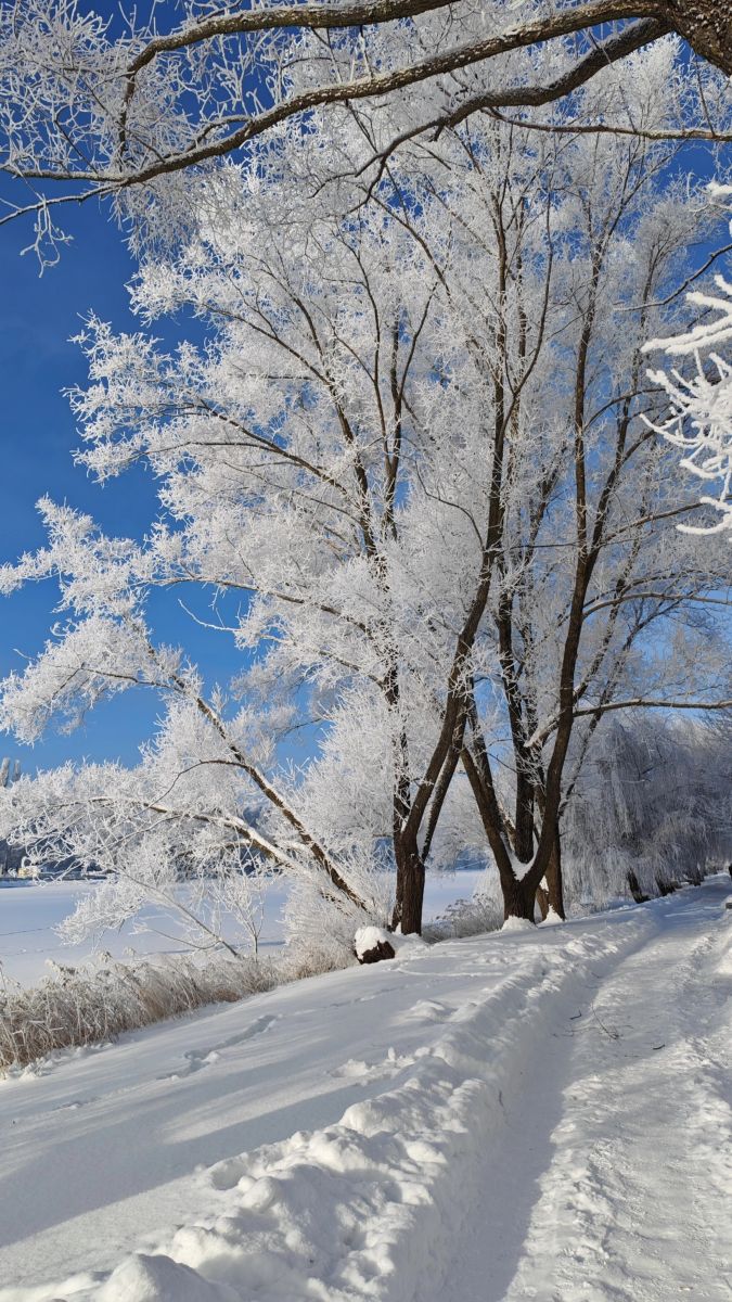 Fotos do tempo em Minsk. Previsões do tempo com lindas fotos de Алексей Лазарчук