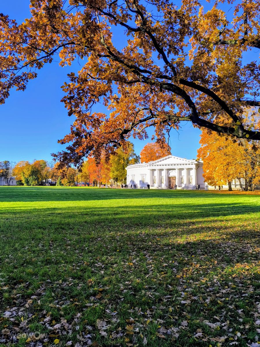Photographer Jea, Weather Photos in Ostrov Yelagin - Weawow