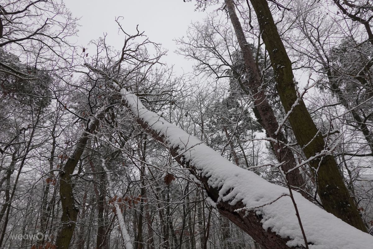 Fotos do tempo em Praha 4. Previsões do tempo com lindas fotos de Vasek325