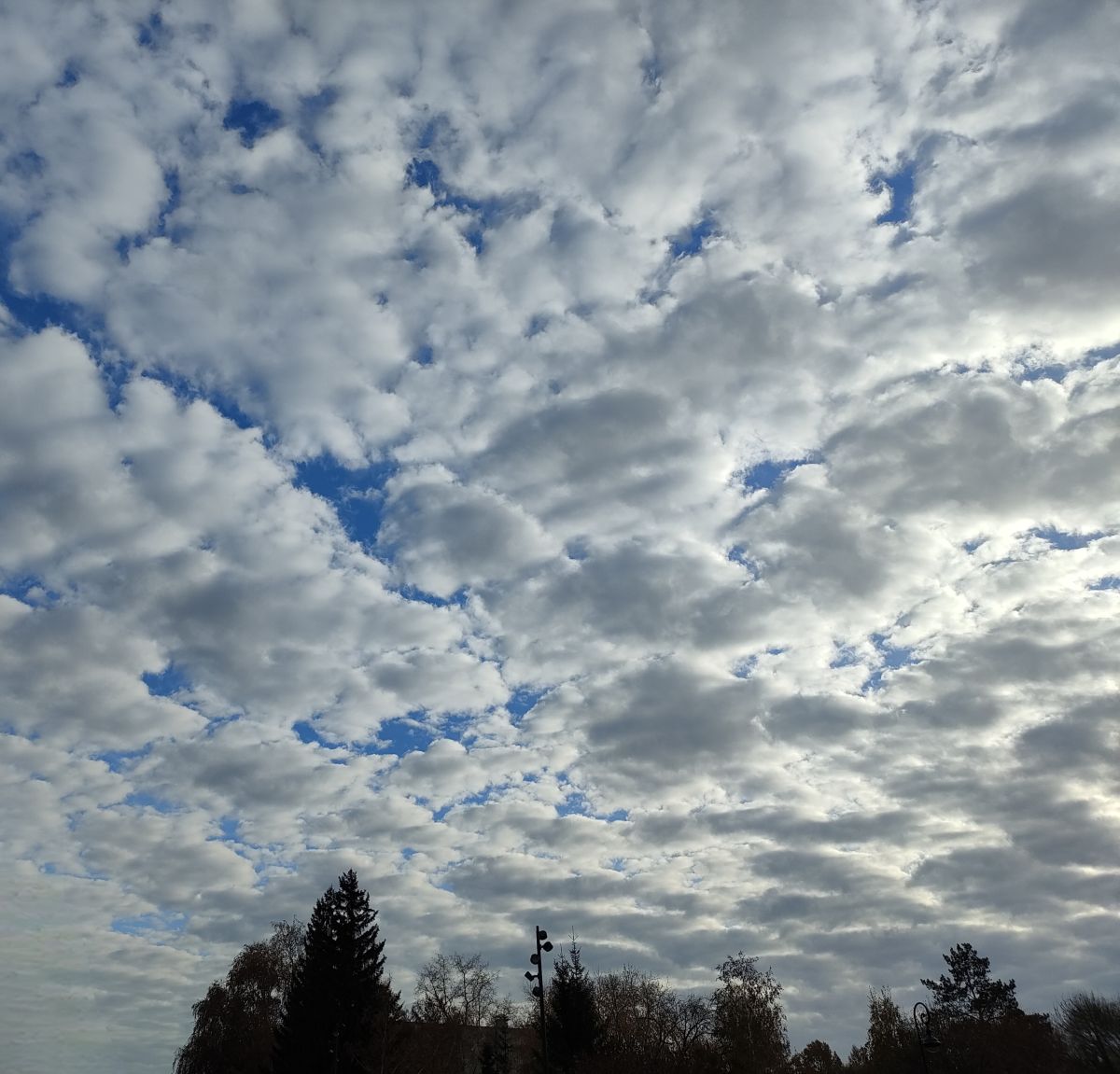 Фотографии Погоды в Омск. Прогнозы погоды с чудесными фотографиями, сделанными Deniiiz