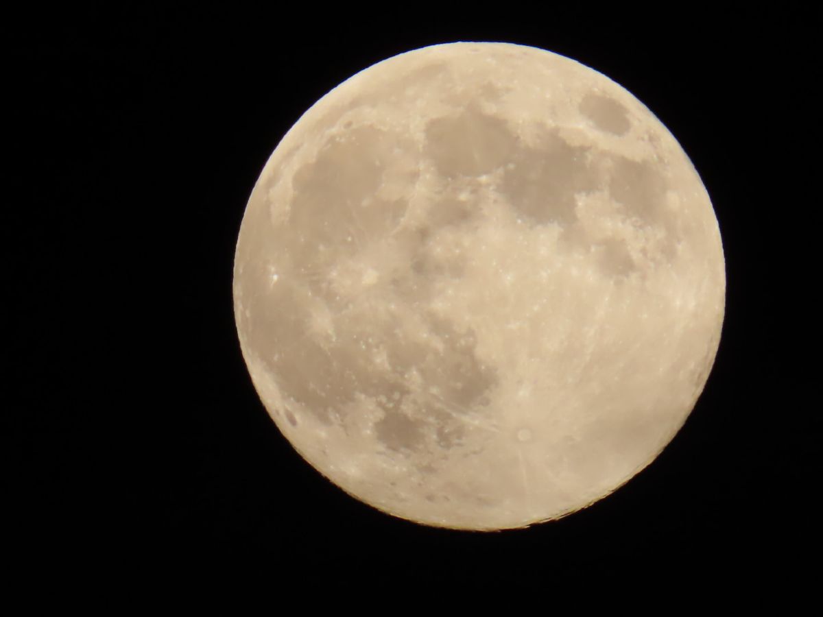 写真家 Lolli、メードストンの天気写真 - Weawow