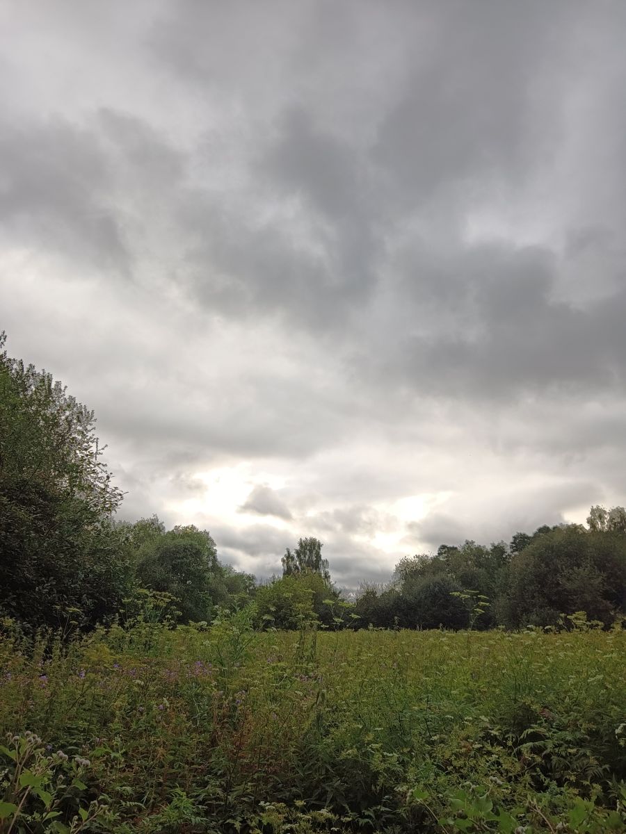 Photographer Amanda_and_Valdemar_Che, Weather Photos in Izmaylovo District - Weawow