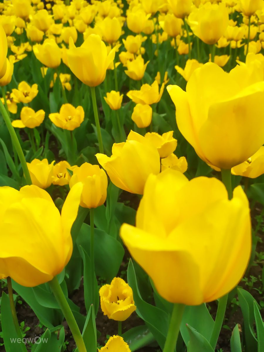 Fotos do tempo em Kirovohrad. Previsões do tempo com lindas fotos de Elena Chayka