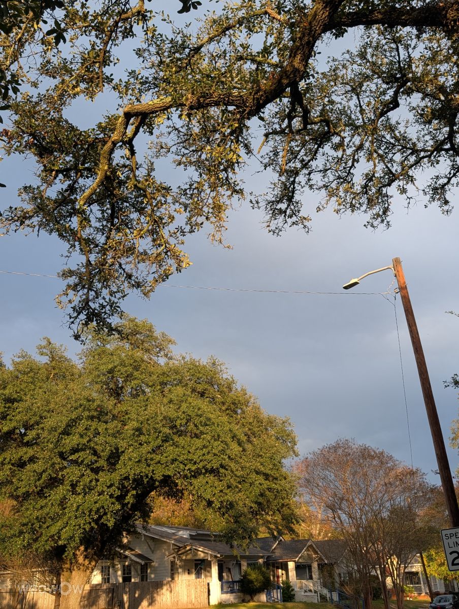 路易斯安那州的天气照片. 天气预报，带Lisa1972精美的照片