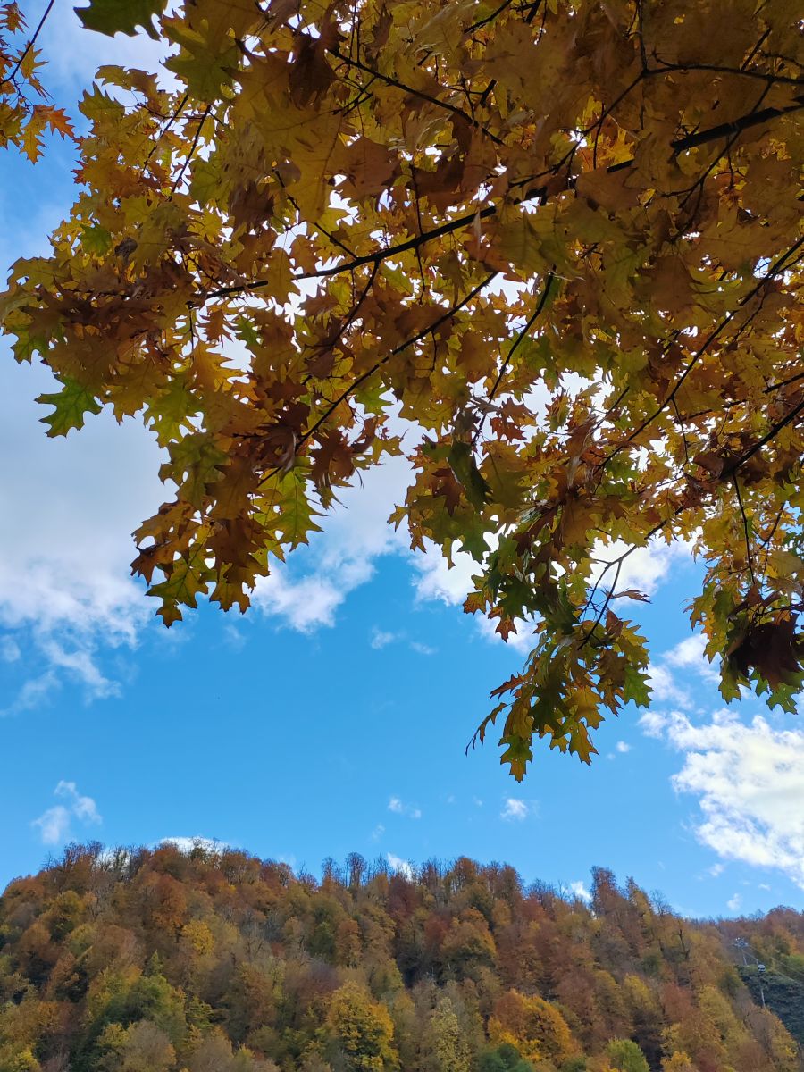 Photograph Albert_Smelovtsev, Wetter Photos Roza Khutor - Weawow