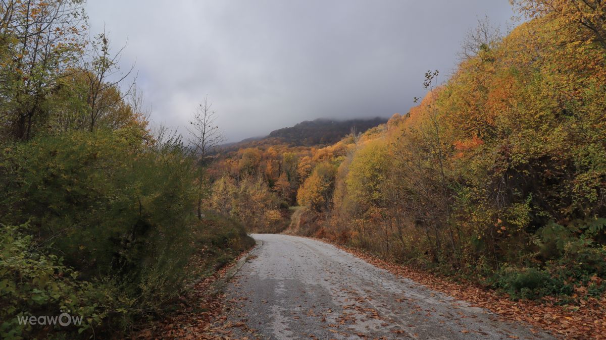 Прогнозы погоды с чудесными фотографиями, сделанными Antony_Bouchagier78