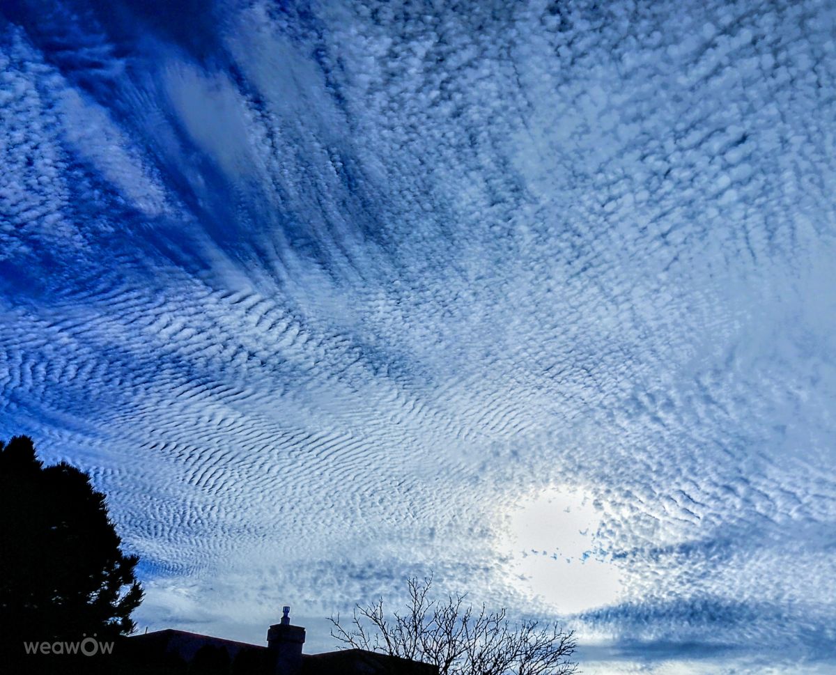 Weather Photos in Albuquerque. Weather forecasts with beautiful photos by marvin616